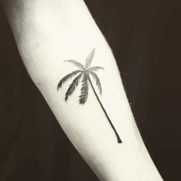 Tatouage Ephemere Palmier | Refuge Du Pirate