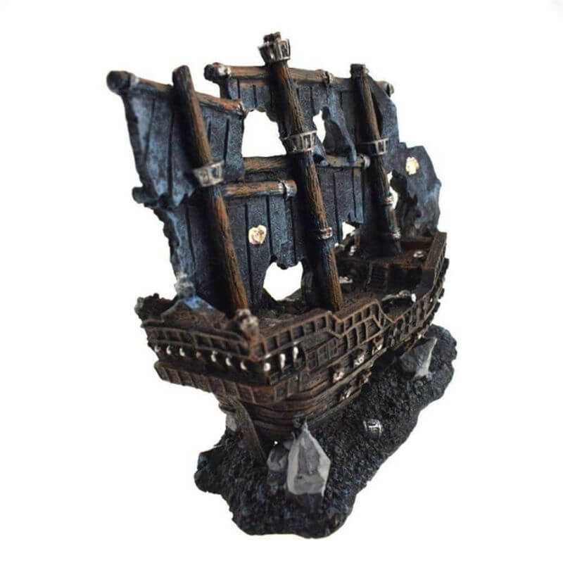 epave-bateau-pirate-aquarium-arriere