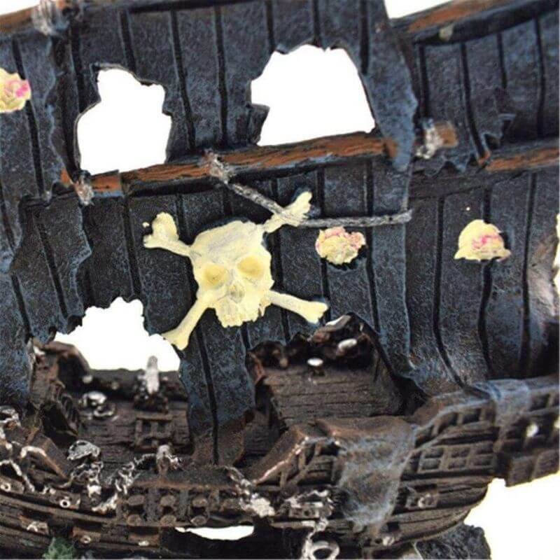 epave-bateau-pirate-aquarium-jolly-roger